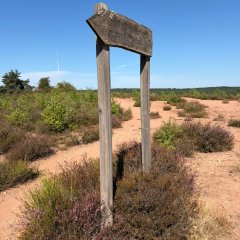 Mehlinger Heide