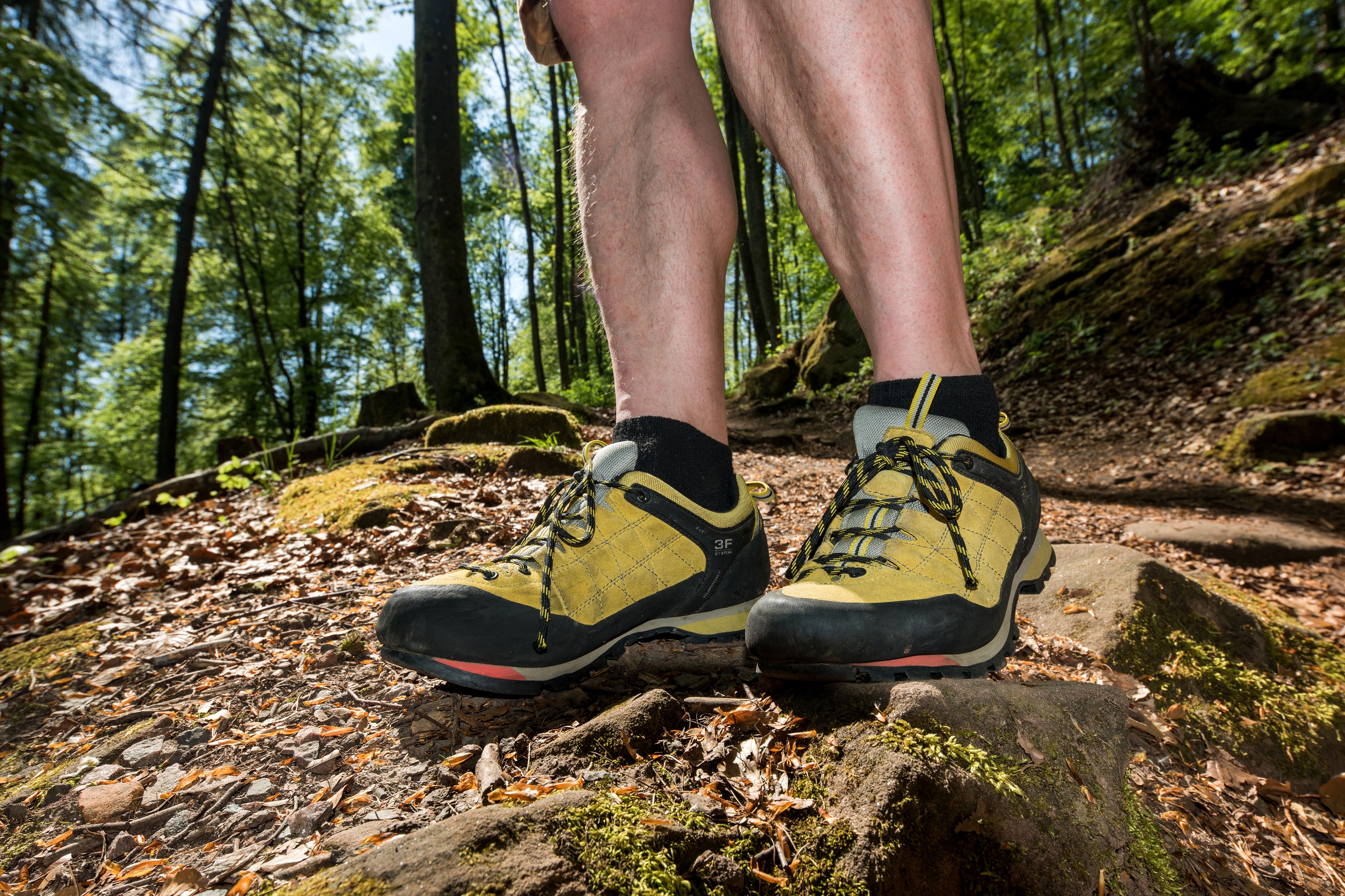 Foto ein Wanderer im Wald