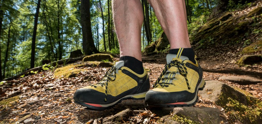 Foto ein Wanderer im Wald