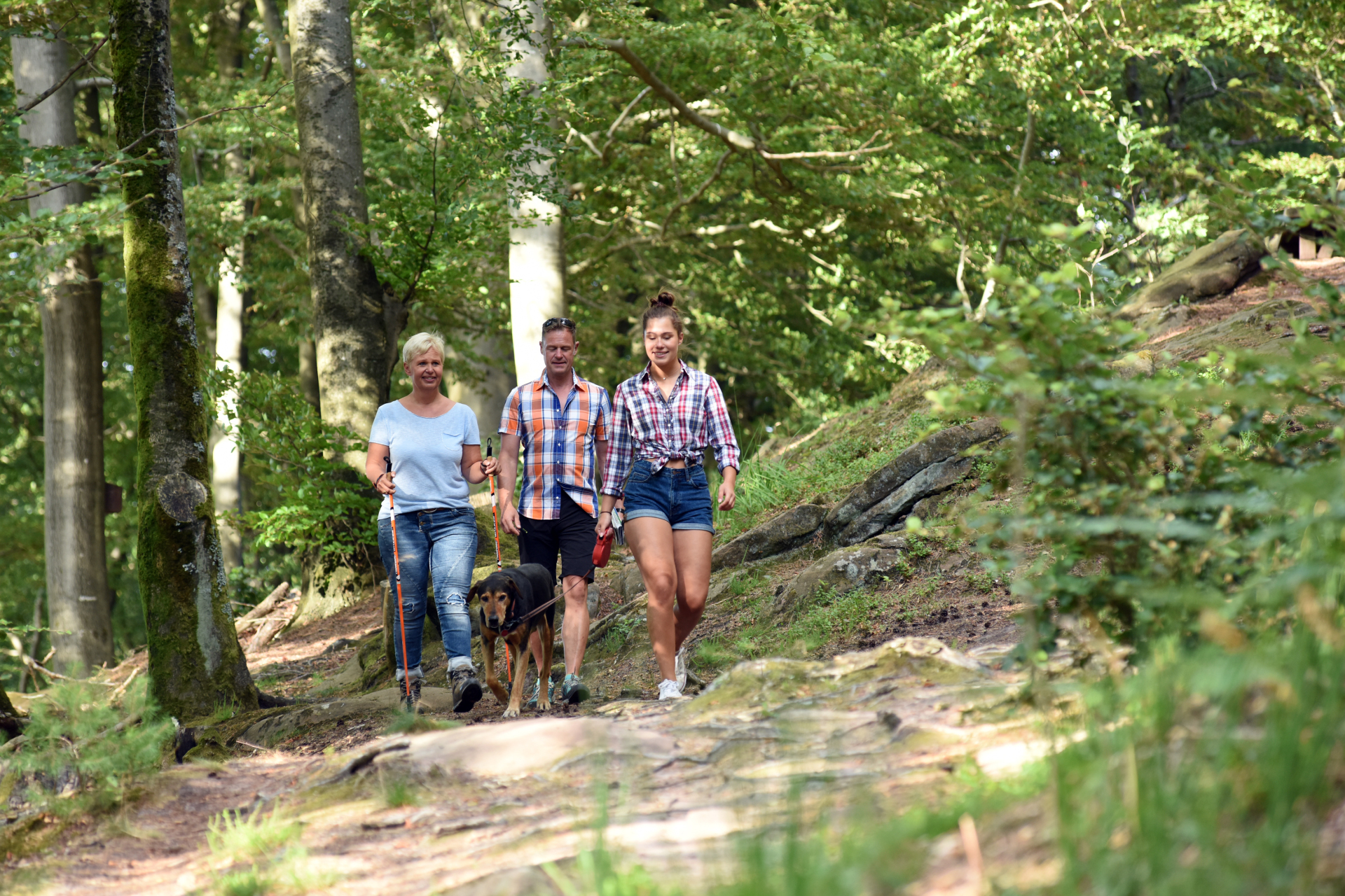 Foto von 3 Wanderer im Wald