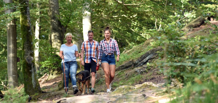 Foto von 3 Wanderer im Wald