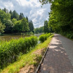 Sonnenweg an den Schwarzweihern