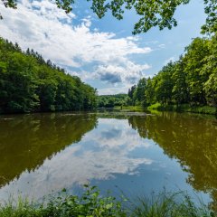 Sonnenweg an den Schwarzweihern