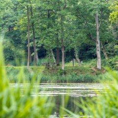 Sonnenweg an den Schwarzweihern
