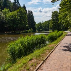 Sonnenweg an den Schwarzweihern