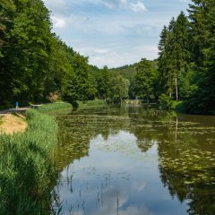 Sonnenweg an den Schwarzweihern