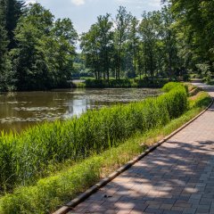 Sonnenweg an den Schwarzweihern