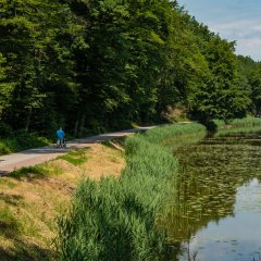 Sonnenweg an den Schwarzweihern