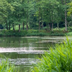Sonnenweg an den Schwarzweihern