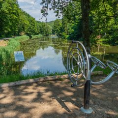 Sonnenweg an den Schwarzweihern