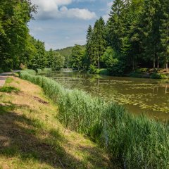 Sonnenweg an den Schwarzweihern