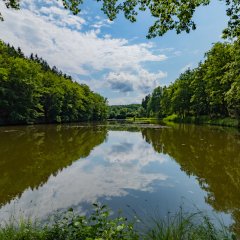 Sonnenweg an den Schwarzweihern
