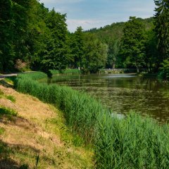 Sonnenweg an den Schwarzweihern