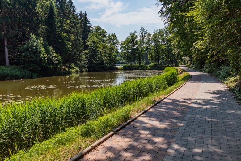 Sonnenweg an den Schwarzweihern