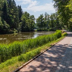 Sonnenweg an den Schwarzweihern