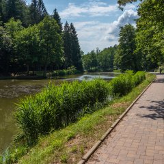 Sonnenweg an den Schwarzweihern