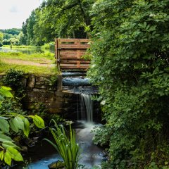 Sonnenweg an den Schwarzweihern
