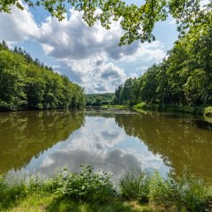 Sonnenweg an den Schwarzweihern