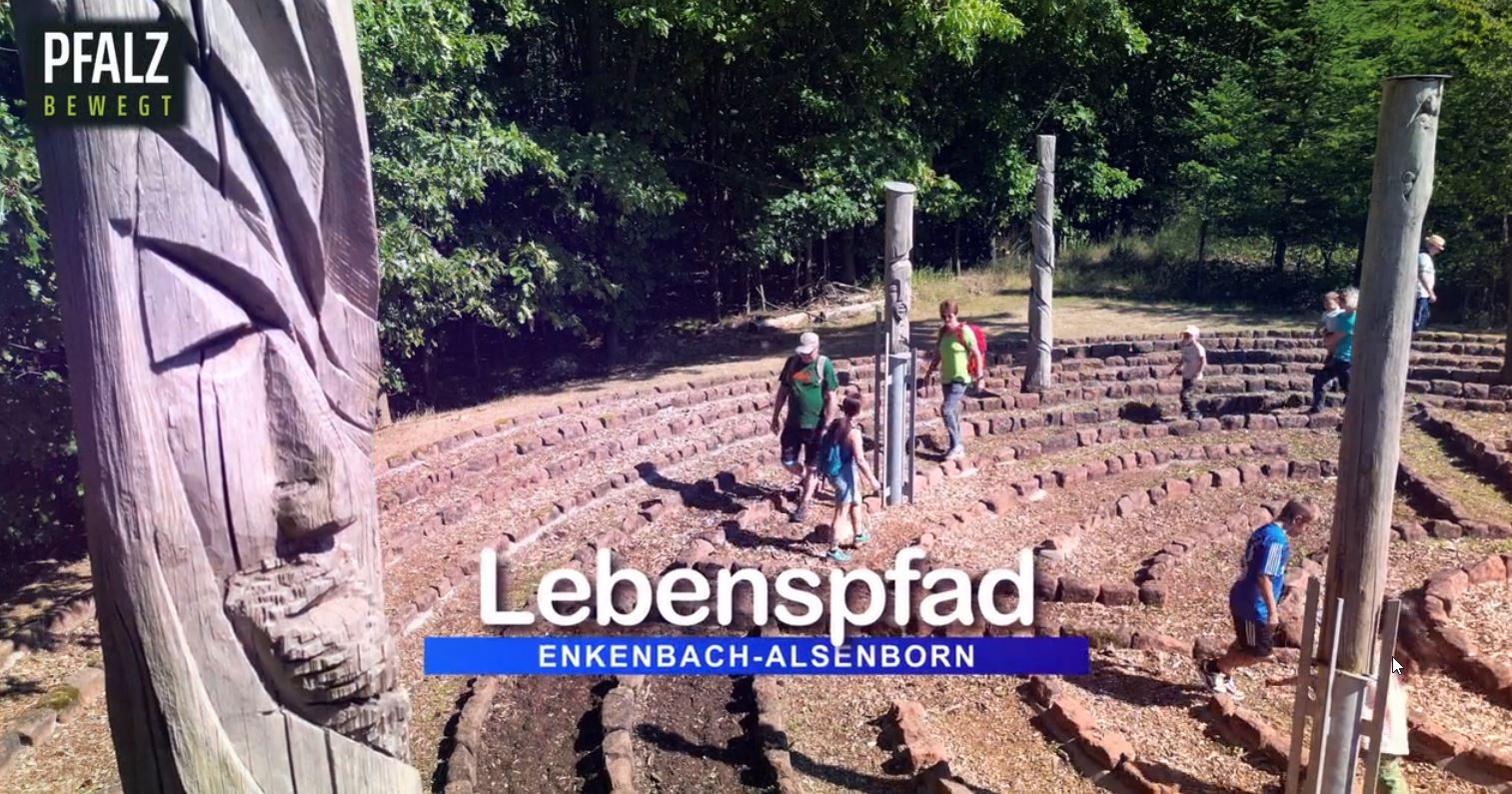 Man sieht einen Ausschnitt des Labyrinths am Lebenspfad. Am linken Bildrand sieht man eine Skulptur aus einem Holzstamm geschnitzt. Im Hintergrund laufen mehrere Menschen (Frauen, Männer, Kinder) durch die Gänge des Labyrinths.