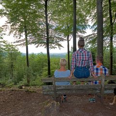 Bank im Wald bei Pfälzer Weltachse