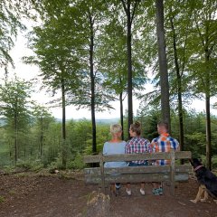 Bank im Wald bei Pfälzer Weltachse