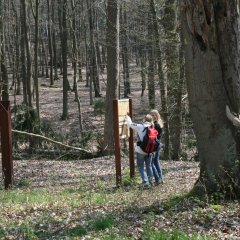 Kelten- und Römerweg