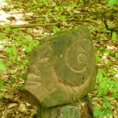 Stein Schnecke