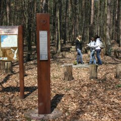 Schild Schanzenweg