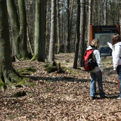 Schanzenweg