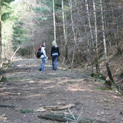 Schanzenweg