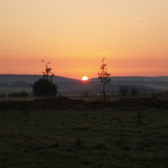 Sonnenaufgang