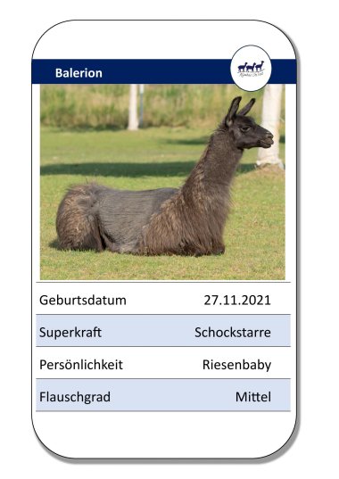 Lama