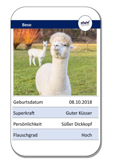Lama