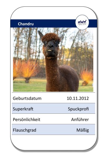 Lama