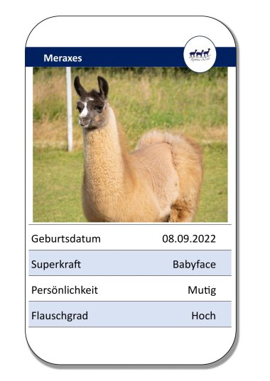 Lama
