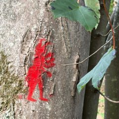Naturerlebnispfad