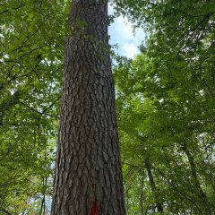 Naturerlebnispfad