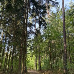 Naturerlebnispfad