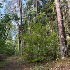 Naturerlebnispfad