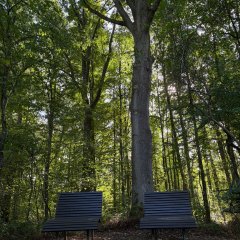 Naturerlebnispfad