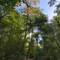 Naturerlebnispfad