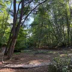 Naturerlebnispfad