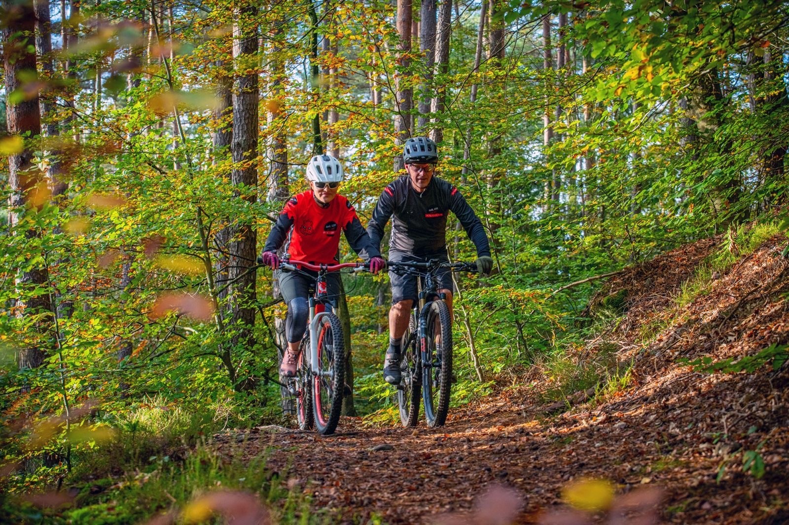 Mountainbiker im Wald
