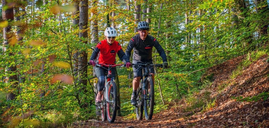 Mountainbiker im Wald