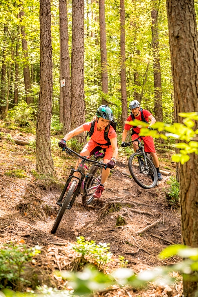 Mountainbiker fahren Trail im Wald