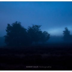 Mehlinger Heide bei Nacht