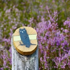 Pfad Mehlinger Heide