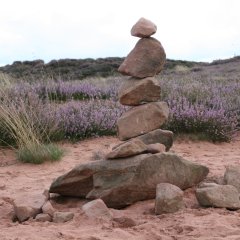 Steine in der Mehlinger Heide