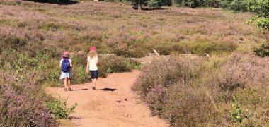 Mehlinger Heide mit 2 Wanderer