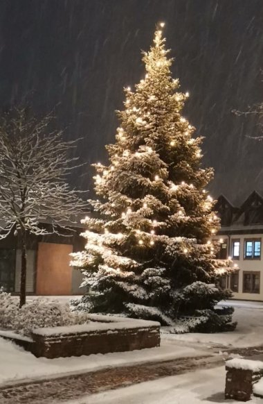 Weihnachtsbaum am Rathausplatz Enkenbach-Alsenborn